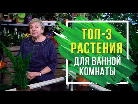 Нажми и смотри