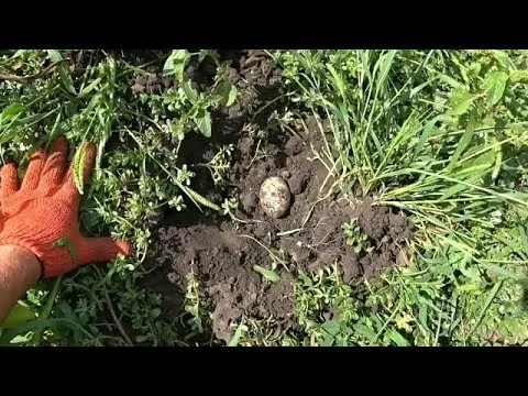 Нажми и смотри Нажми и смотри