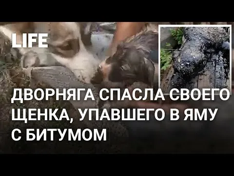 Нажми и смотри
