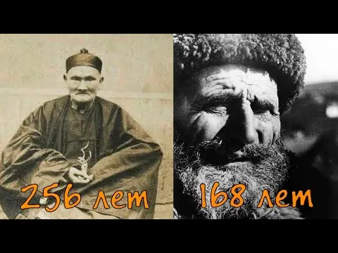 Нажми и смотри