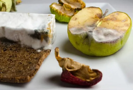Протухшие продукты в закромах: страх будущего