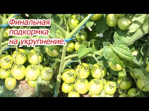 Нажми и смотри