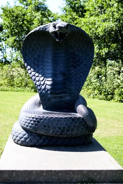 Отважный малыш загрыз кобру насмерть