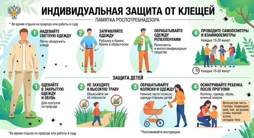 Как защититься от клеща и защитить детей Как защититься от клеща и защитить детей
