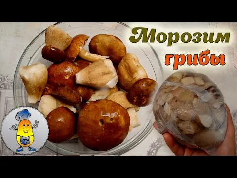 Нажми и смотри Нажми и смотри