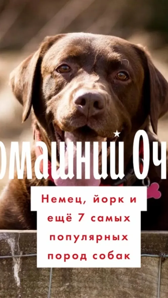 Нажми и смотри