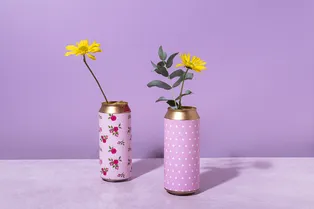 От кормушек до кашпо: 7 способов использовать жестяные банки от газировки