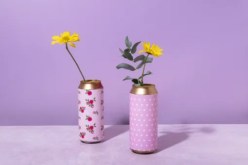 От кормушек до кашпо: 7 способов использовать жестяные банки от газировки