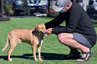 «Он послан мне судьбой»: слепой ветеран приютил брошенного пса без глаз