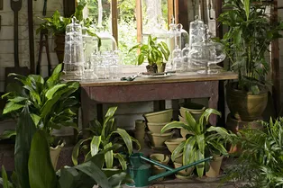 Что особенного в глиняных горшках: 11 важных фактов для цветоводов Что особенного в глиняных горшках: 11 важных фактов для цветоводов