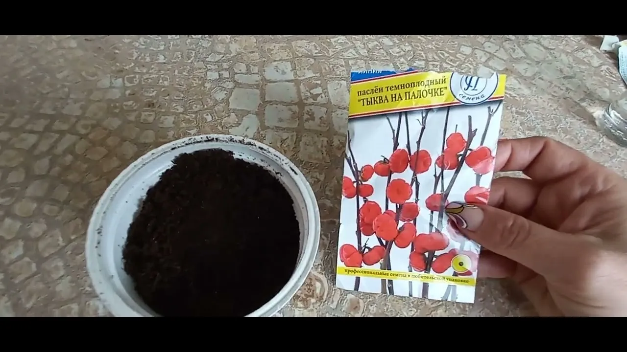 Нажми и смотри Нажми и смотри