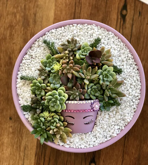 Перестаньте помещать суккуленты в террариумы Перестаньте помещать суккуленты в террариумы