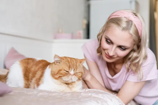 Выяснилось, на кого кошки орут чаще — на мужчин или на женщин