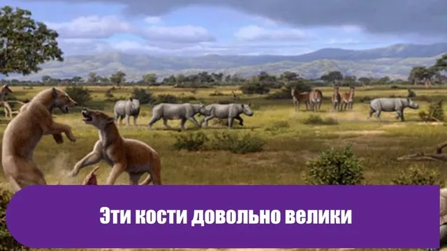 Нажми и смотри