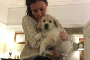 Мальчик придумал, как утешить учительницу, у которой умерла собака