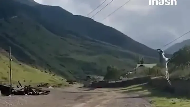 Нажми и смотри