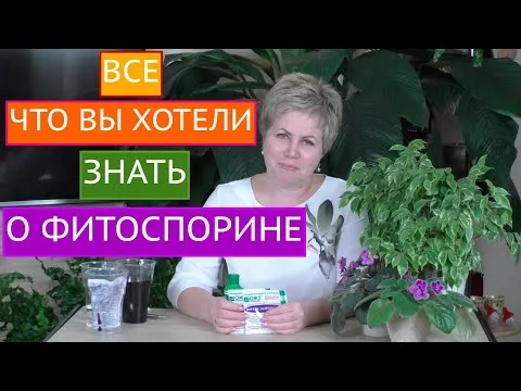 Нажми и смотри