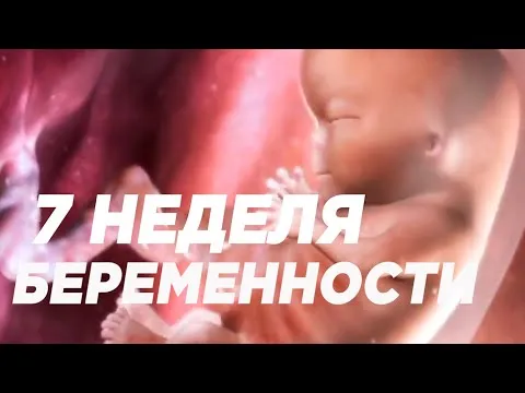 Нажми и смотри