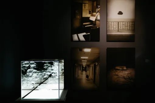 «Ты и есть вселенная», Сергей Колосов; на заднем плане — работа из серии «Лишние», Оля Кройтор