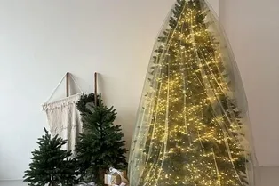 Ёлка-невеста: как выглядит самый стильный тренд 2026 года? Ёлка-невеста: как выглядит самый стильный тренд 2026 года?