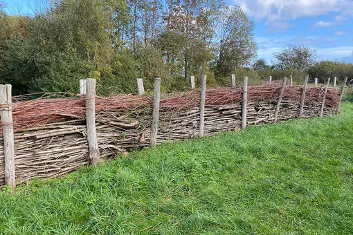Как долго прослужит мёртвая изгородь