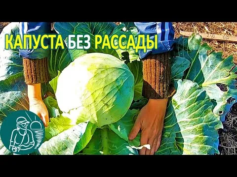 Нажми и смотри