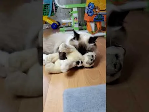 Нажми и смотри