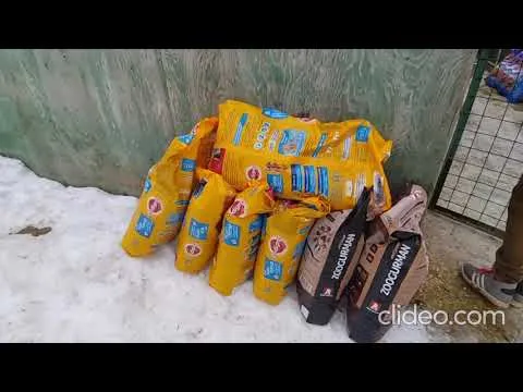 Нажми и смотри