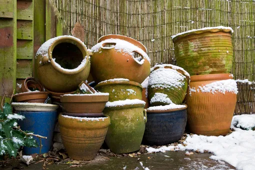 6 вещей, которые никогда нельзя оставлять на улице зимой 6 вещей, которые никогда нельзя оставлять на улице зимой