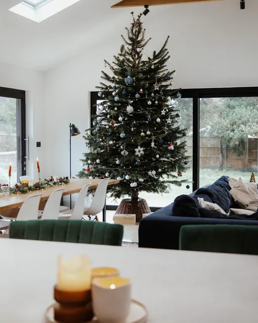 как выбрать елку