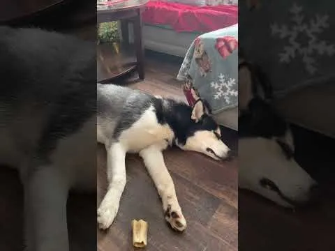 Нажми и смотри