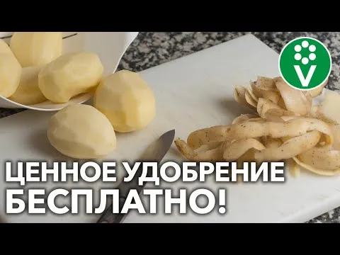 Нажми и смотри