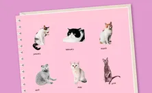 15 подарков для «Тайного Санты» не дороже 1000 рублей 15 подарков для «Тайного Санты» не дороже 1000 рублей