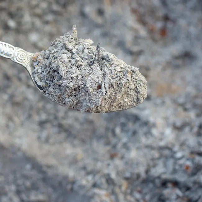 Есть ли реальная польза от золы на участке, и если да, то какая? Ответ агронома