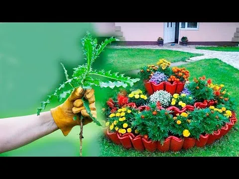 Нажми и смотри Нажми и смотри