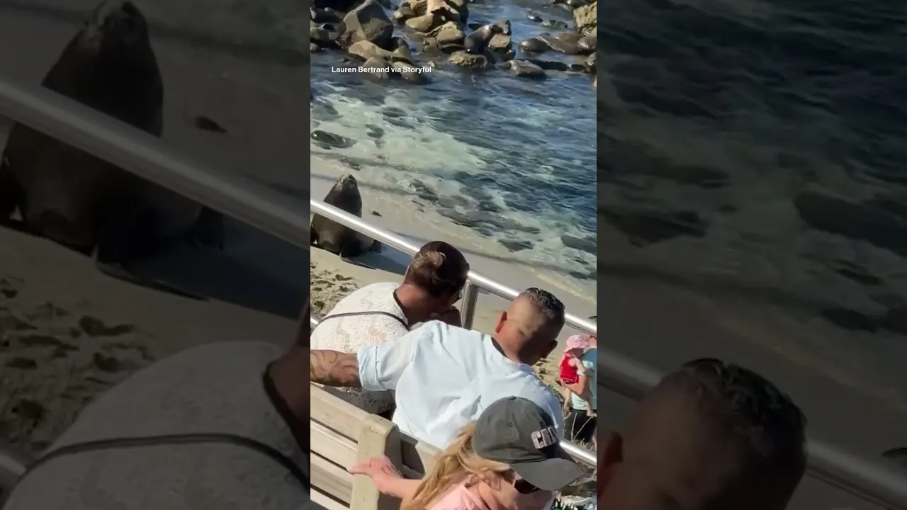 Нажми и смотри Нажми и смотри