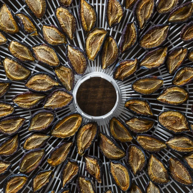 Стильный дегидратор проиграл «пластиковому монстру»: испытала три сушилки и делюсь выводами