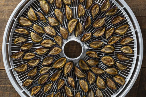 Стильный дегидратор проиграл «пластиковому монстру»: испытала три сушилки и делюсь выводами Стильный дегидратор проиграл «пластиковому монстру»: испытала три сушилки и делюсь выводами