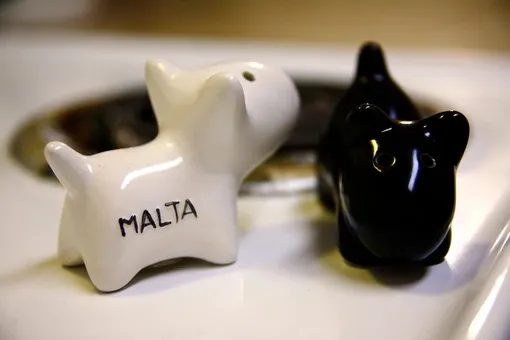 Сувениры из отпусков, которые вызывают вину Сувениры из отпусков, которые вызывают вину