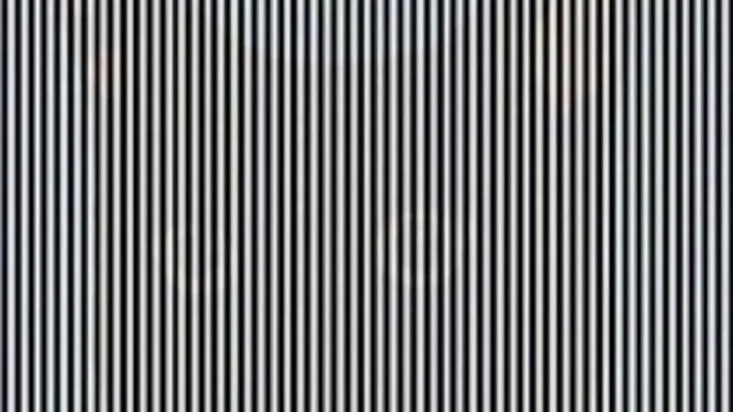 Итак, вам удалось разглядеть что-нибудь?