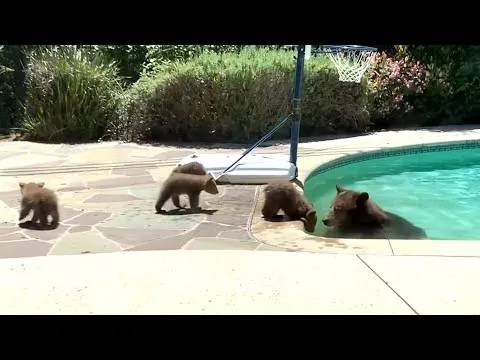 Нажми и смотри Нажми и смотри