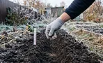 Сеял зелень под зиму в октябре — всходы гибли. Теперь сею по температуре почвы и собираю на месяц раньше