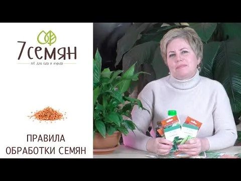 Нажми и смотри