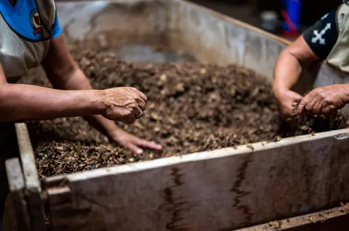 Лучше всего закладывать компост с приходом весны