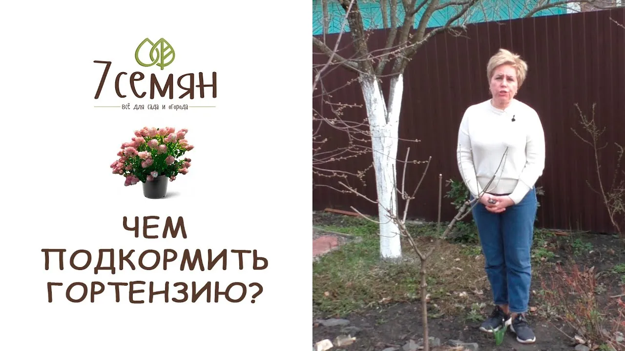Нажми и смотри