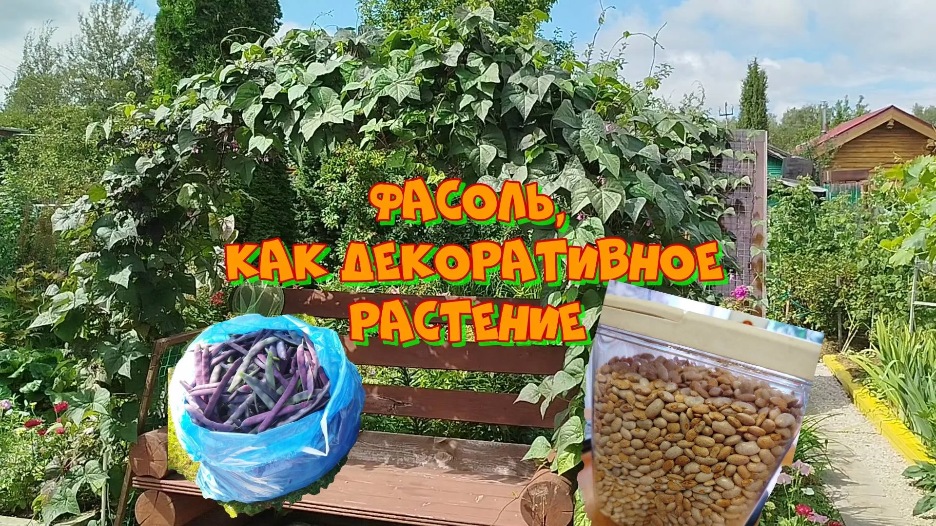 Нажми и смотри Нажми и смотри