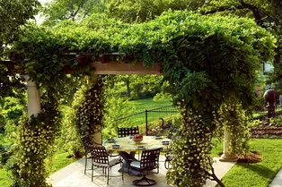 28 бюджетных идей для маленькой дачи от лучших ландшафтных дизайнеров