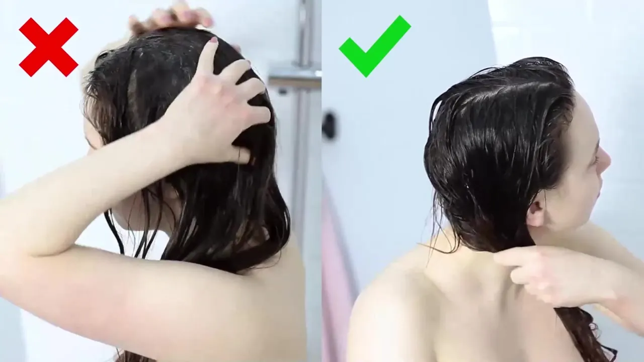 Нажми и смотри Нажми и смотри