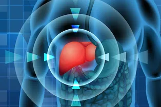 Знаете ли вы, сколько лет вашей печени? Невероятное открытие немецких биологов