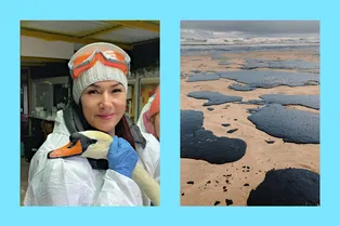 «Про меня говорят звёзды и мировые СМИ»: волонтёр из Анапы рассказала, как лебедь сделал её знаменитой